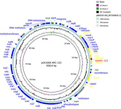 Identification of a Novel Ceftazidime-Avibactam-Resistant KPC-2 Variant, KPC-123, in Citrobacter koseri Following Ceftazidime-Avibactam Treatment